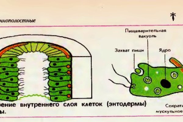 Кракен стор