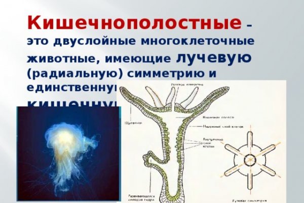 Кракен как зайти ссылка